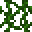 Grid Vines.png